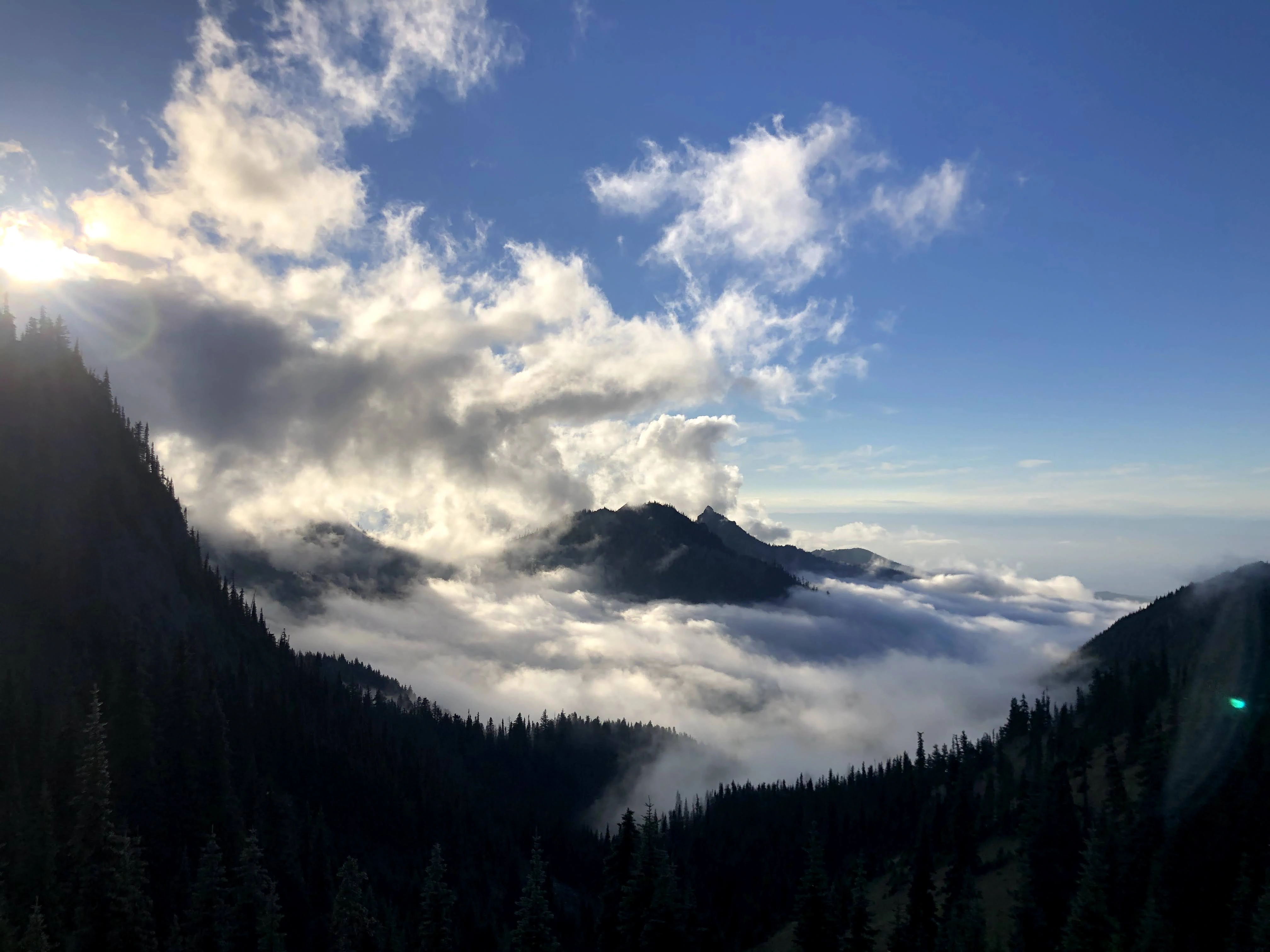 Photograph of the Olympic National Park mountains
