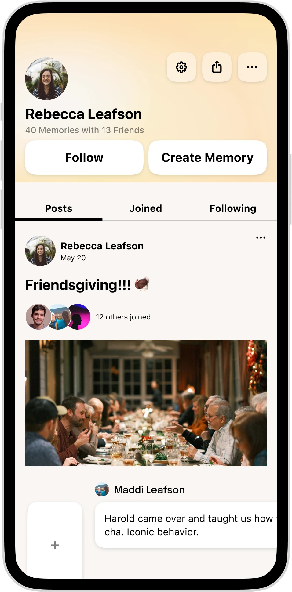 Snippets profile and shared memory screen
